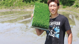 c9653764b6725fb0e8e9e7416a07dd