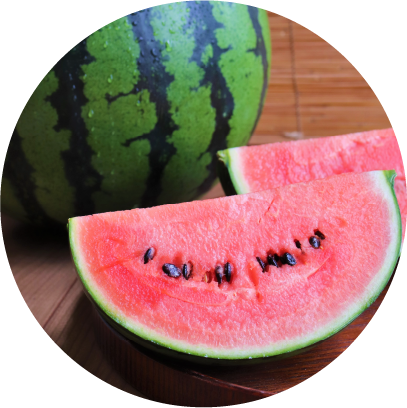 すいか | JA魚沼