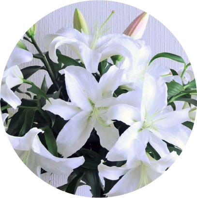 ゆりり出品 fd8fb7f755ad0c693e818908c92354